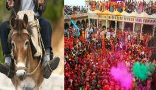 Donkey ride for ‘newest son-in-law’ in Holi tradition in vida village |  ఆ ఊరిలో అమ్మాయిని పెళ్లి చేసుకుంటే గాడిద మీద ఊరేగిస్తారు!￼